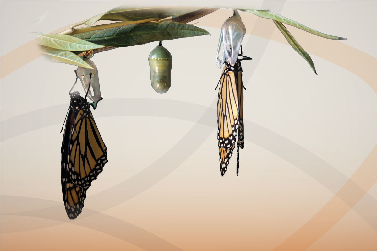 EN-y-los-ciclos-1200x800 2022