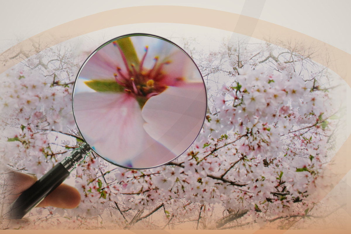 web-webinar-3-abril--23 (1)